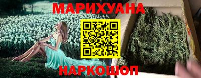 крисы Кунгур