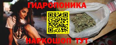 крисы Кунгур